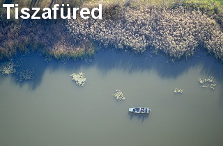 falusi turizmus - Tiszafüred