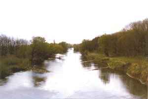 Bodonhely bababar�t sz�ll�s