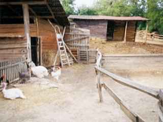 Cs�ford utaz�s sz�ll�s