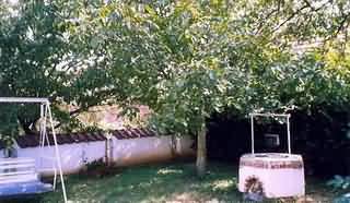 Teleki - vend�gh�z