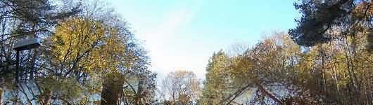 �szi utaz�s