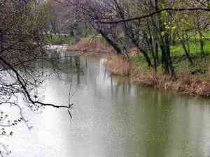 Cs�kv�r bababar�t sz�ll�s