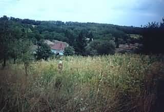 Zala�jlak bababar�t sz�ll�s