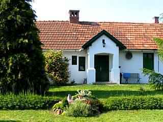 Kisbucsa bababar�t sz�ll�s