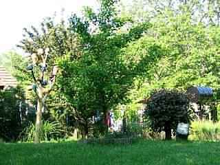 Kisbucsa sz�ll�s utaz�s