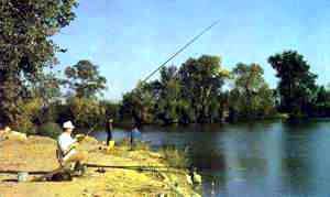 K�lcse bababar�t sz�ll�sfoglal�s