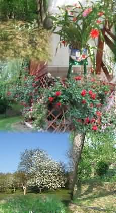 �d�l�si csekk elfogad�hely