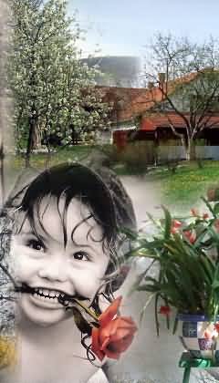 �d�l�si csekk elfogad�hely