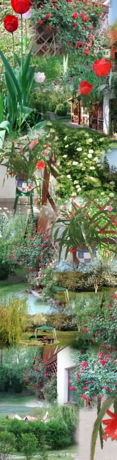 �d�l�si csekk elfogad�hely