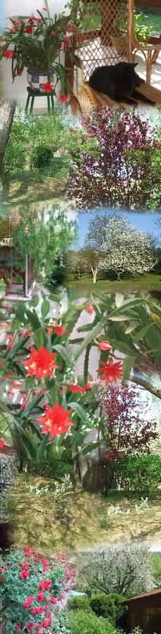 �d�l�si csekk elfogad�hely