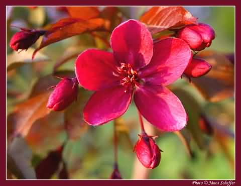 �d�l�si csekk elfogad�hely