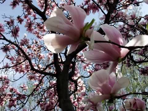 �d�l�si csekk elfogad�hely