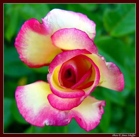 �d�l�si csekk elfogad�hely